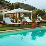 Matilde, With Private Pool On The Lucca Hills * Capannori