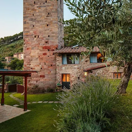 Matilde, With Private Pool On The Lucca Hills Capannori